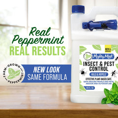 Mighty Mint being poured into a smaller spray bottle to show refill convenience and savings