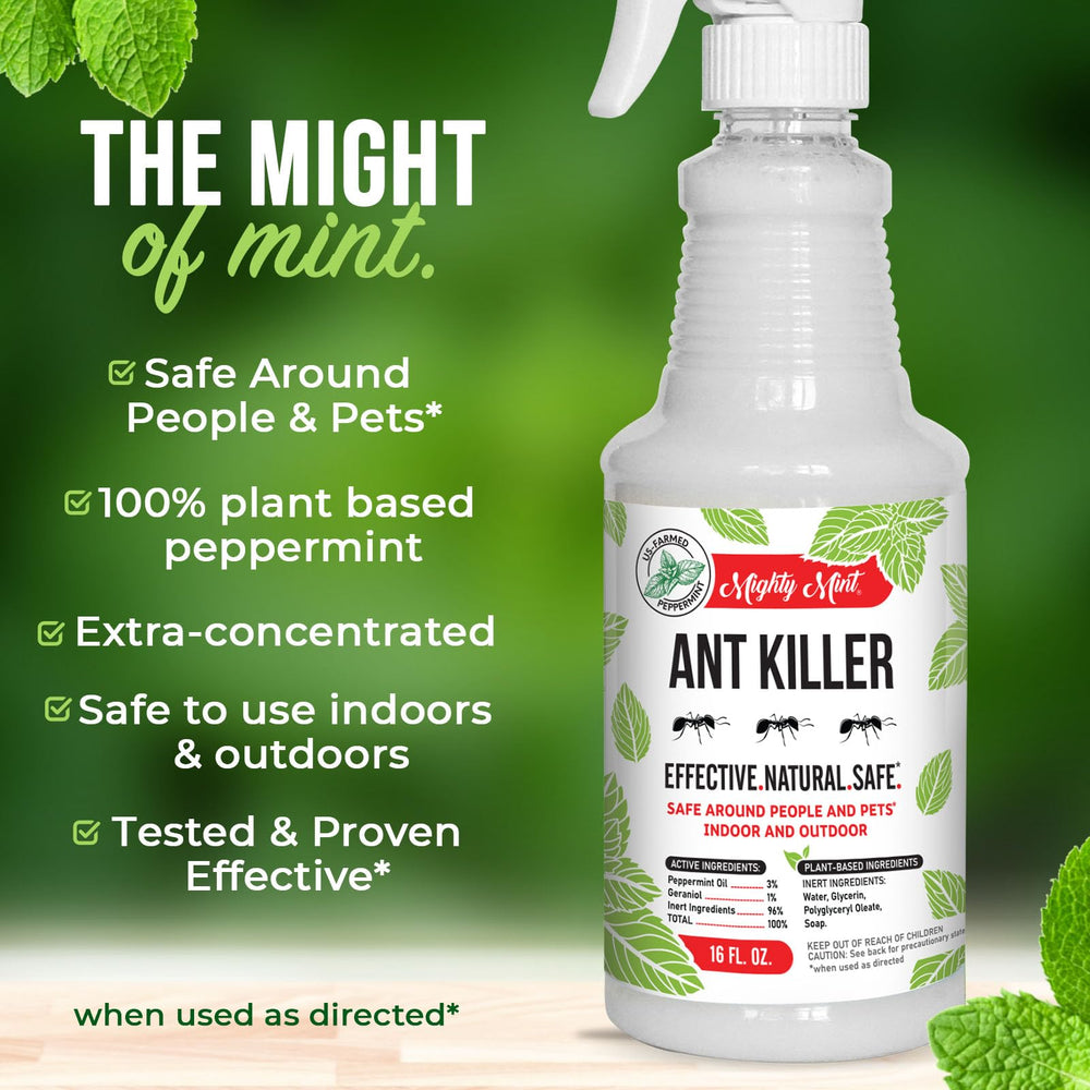Hand holding Mighty Mint bottle for scale to show portable 16 oz convenience