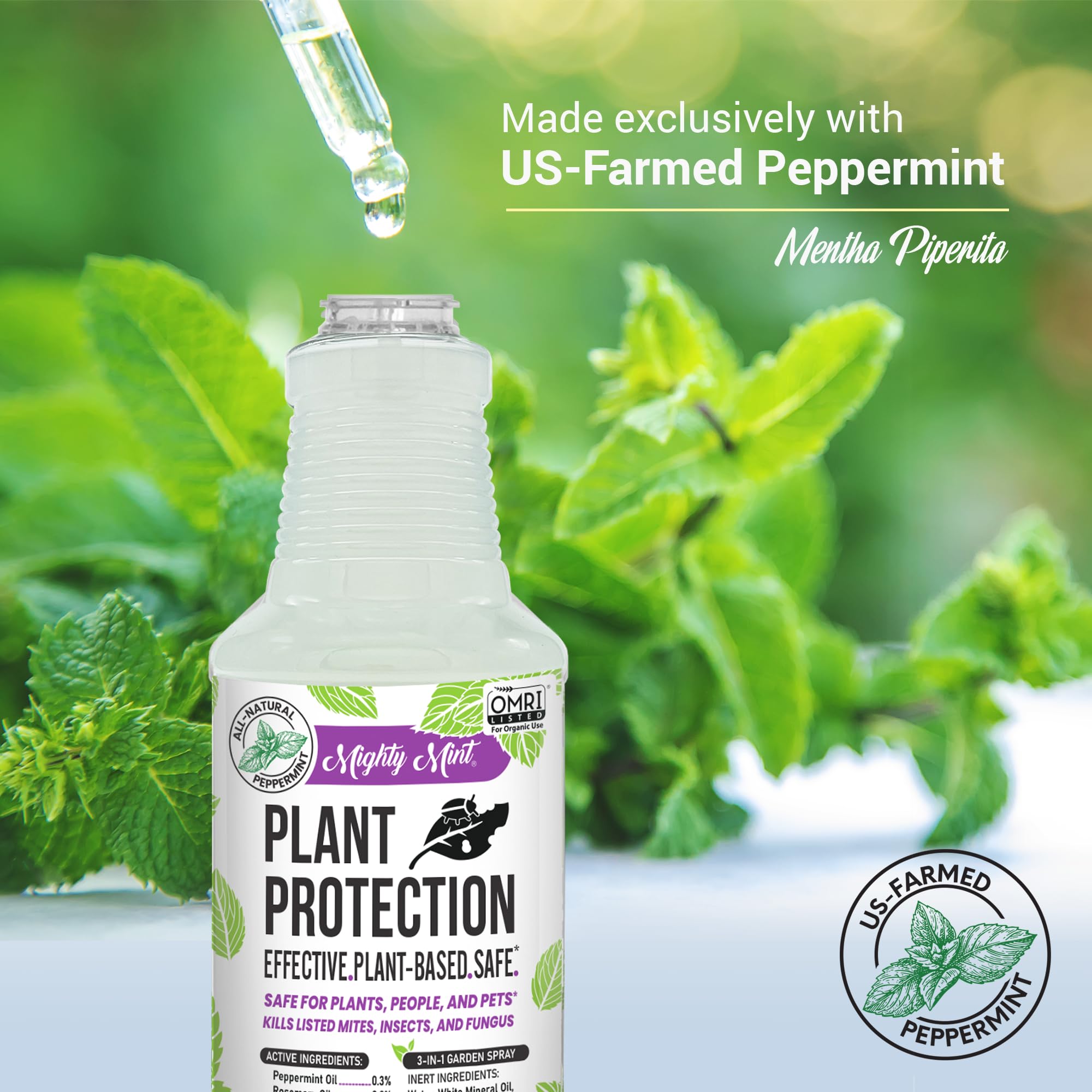 Hand holding Mighty Mint bottle to show 16 oz size for easy storage and handling