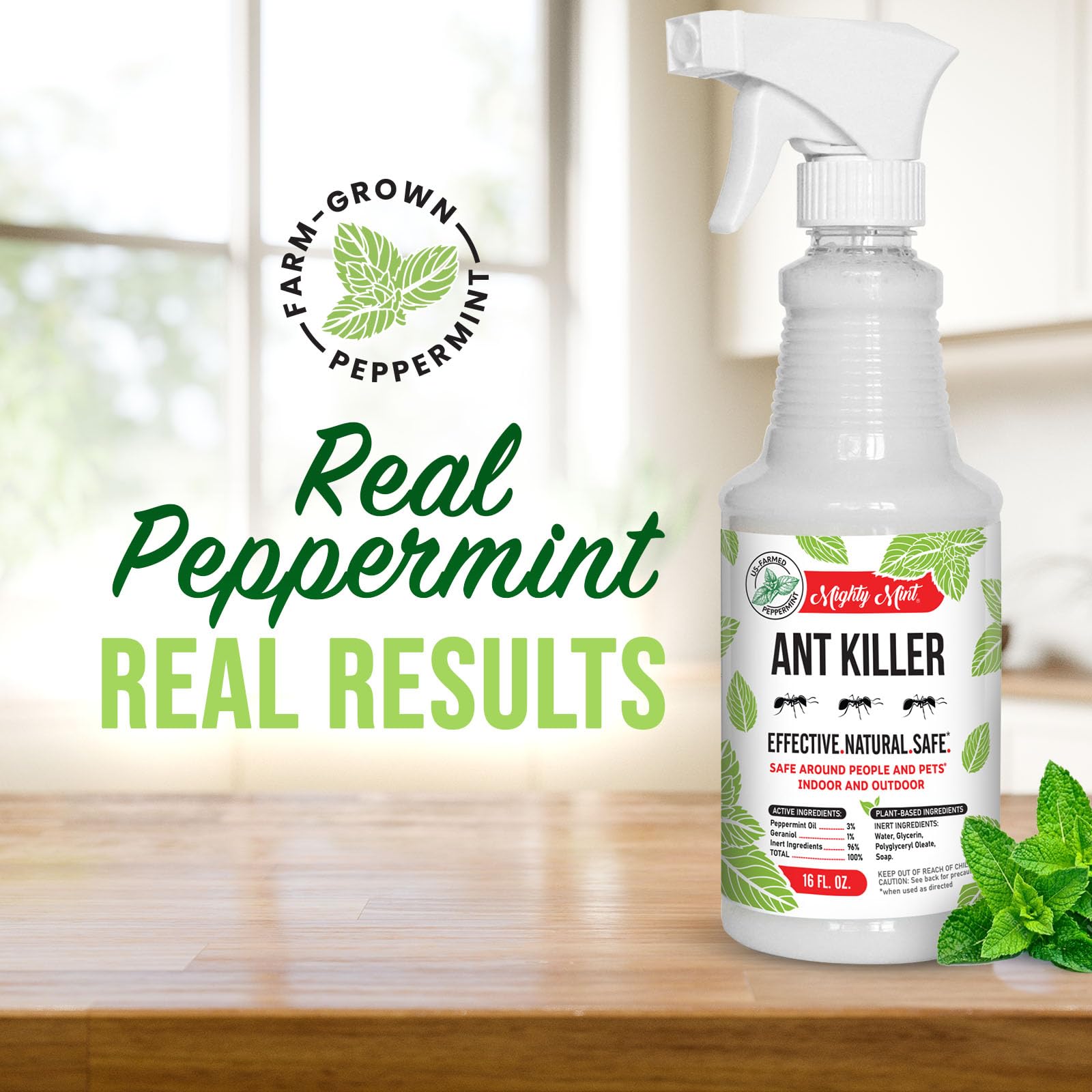 Mighty Mint spray on baseboard stopping ant trails for household protection