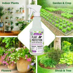 Mighty Mint spray applying to fern leaves demonstrating quick application benefit