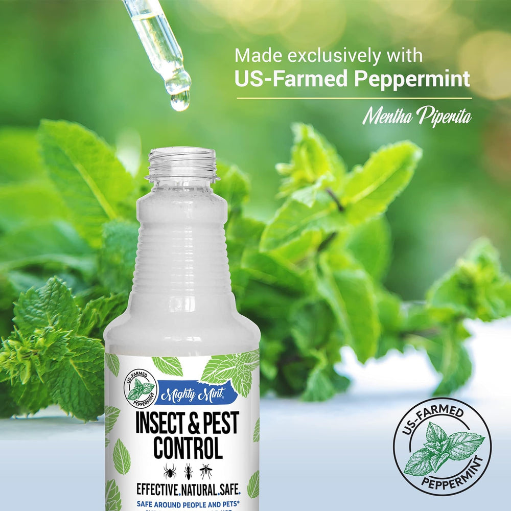 Mighty Mint being sprayed along a baseboard to repel insects inside