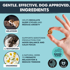 Mighty Paw chews in hand demonstrating size and portioning for correct dosing benefit