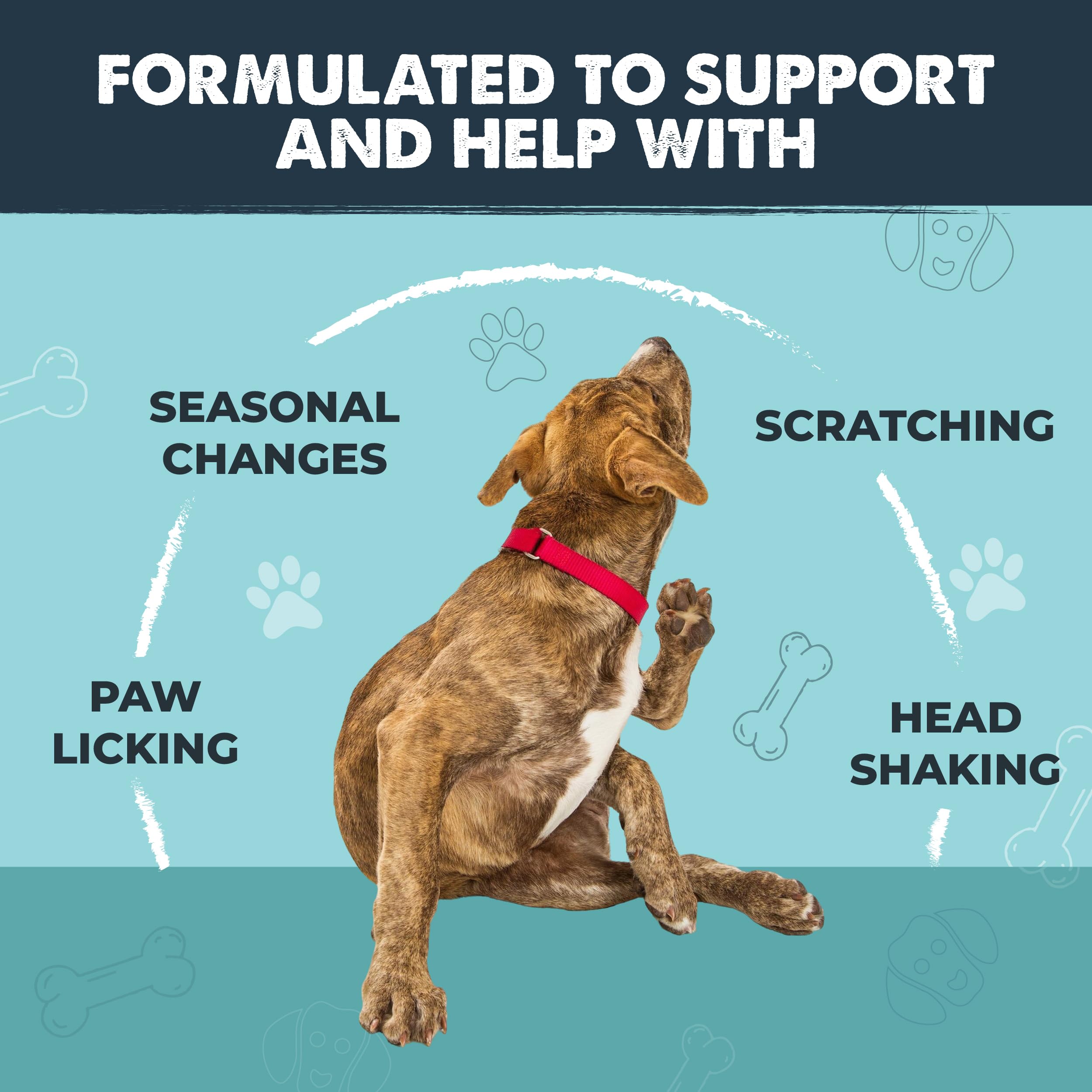 Mighty Paw chews being given to a dog, promoting easier dosing