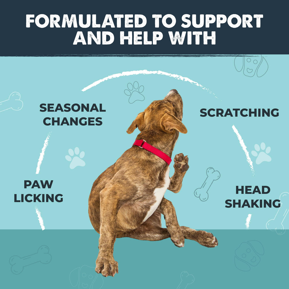 Mighty Paw chews being given to a dog, promoting easier dosing