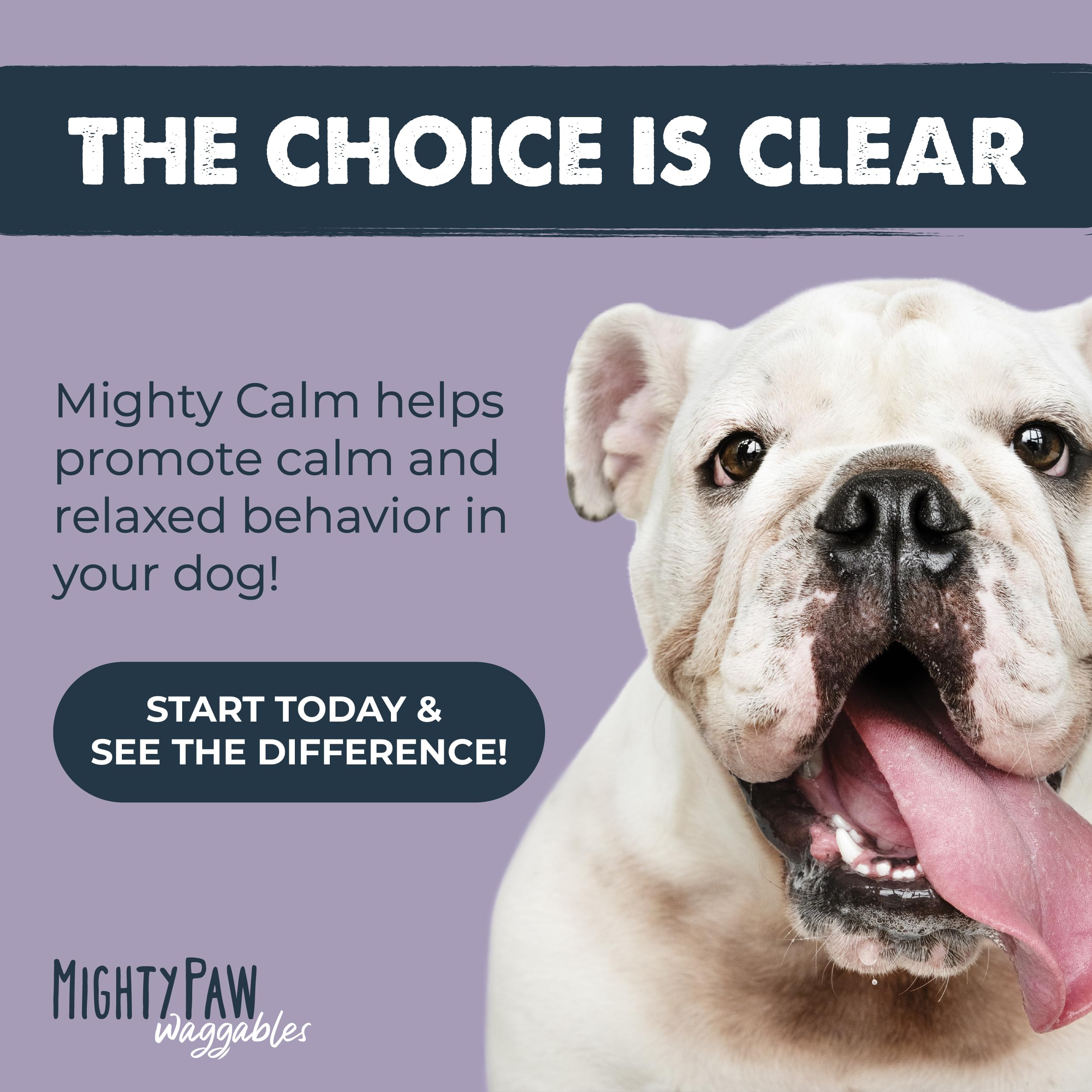 Mighty Paw lifestyle image of relaxed dog on couch showing calmer behavior benefit