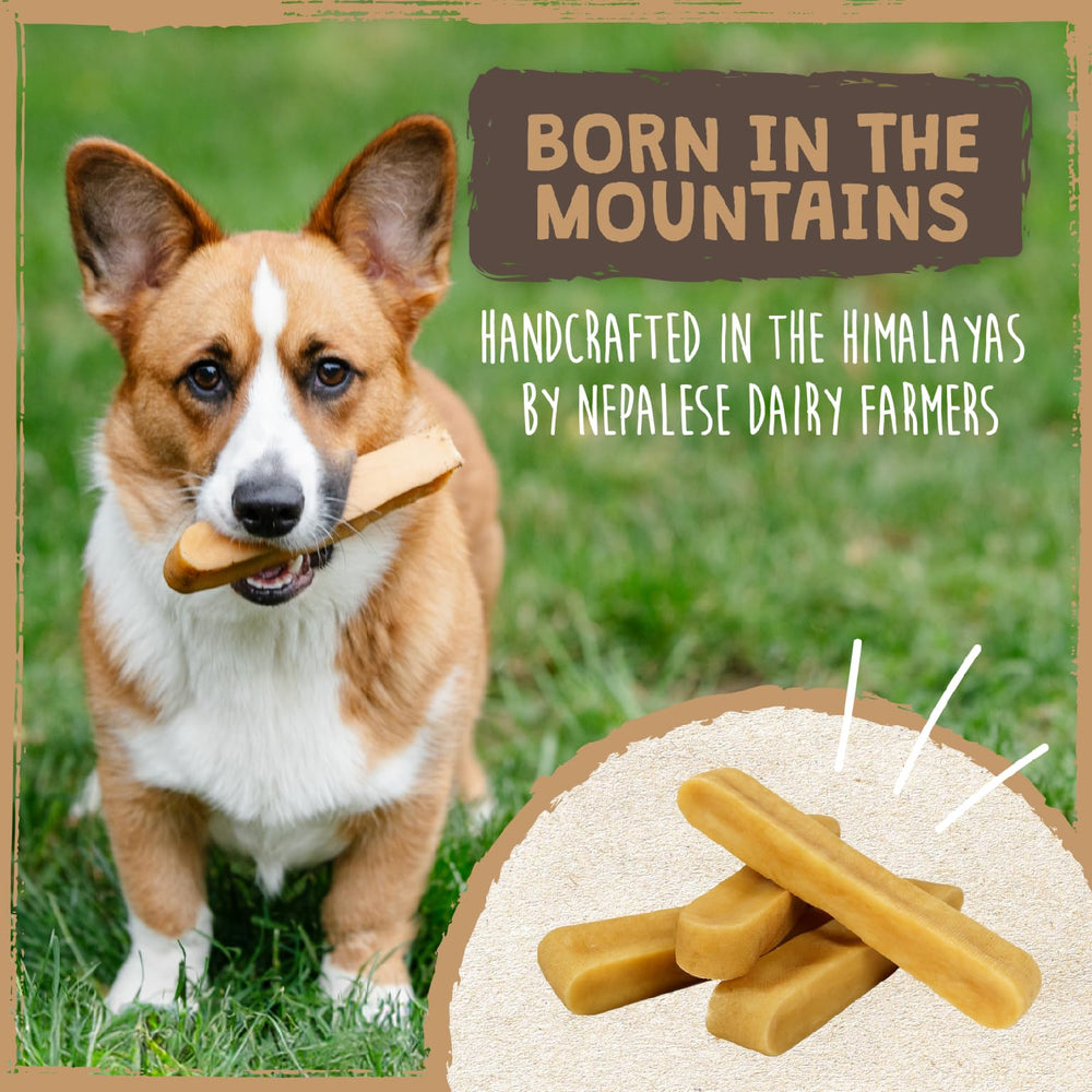 Mighty Paw multiple chews spread showing pack variety and storage benefit