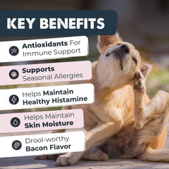 Mighty Paw open jar with visible chews, showing easy daily servings