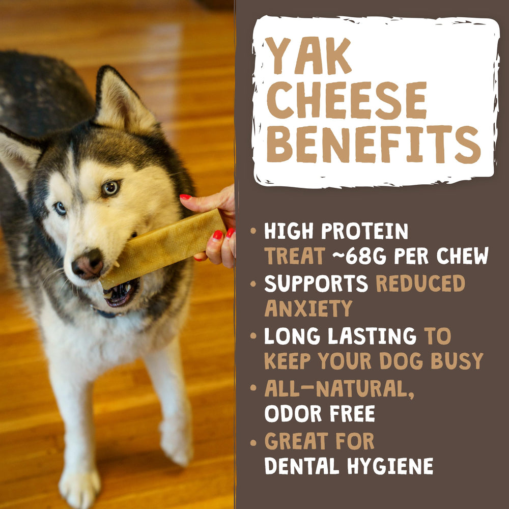 Mighty Paw single yak cheese chew close-up displaying dense texture benefit