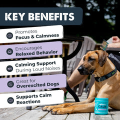 Mighty Paw soft chew close-up displaying texture and easy-to-break chewability benefit
