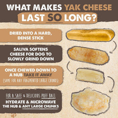 Dog enjoying Mighty Paw yak cheese chew demonstrating durable play