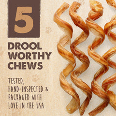 Dog chewing a Mighty Paw curly bully stick, demonstrating long-lasting engagement