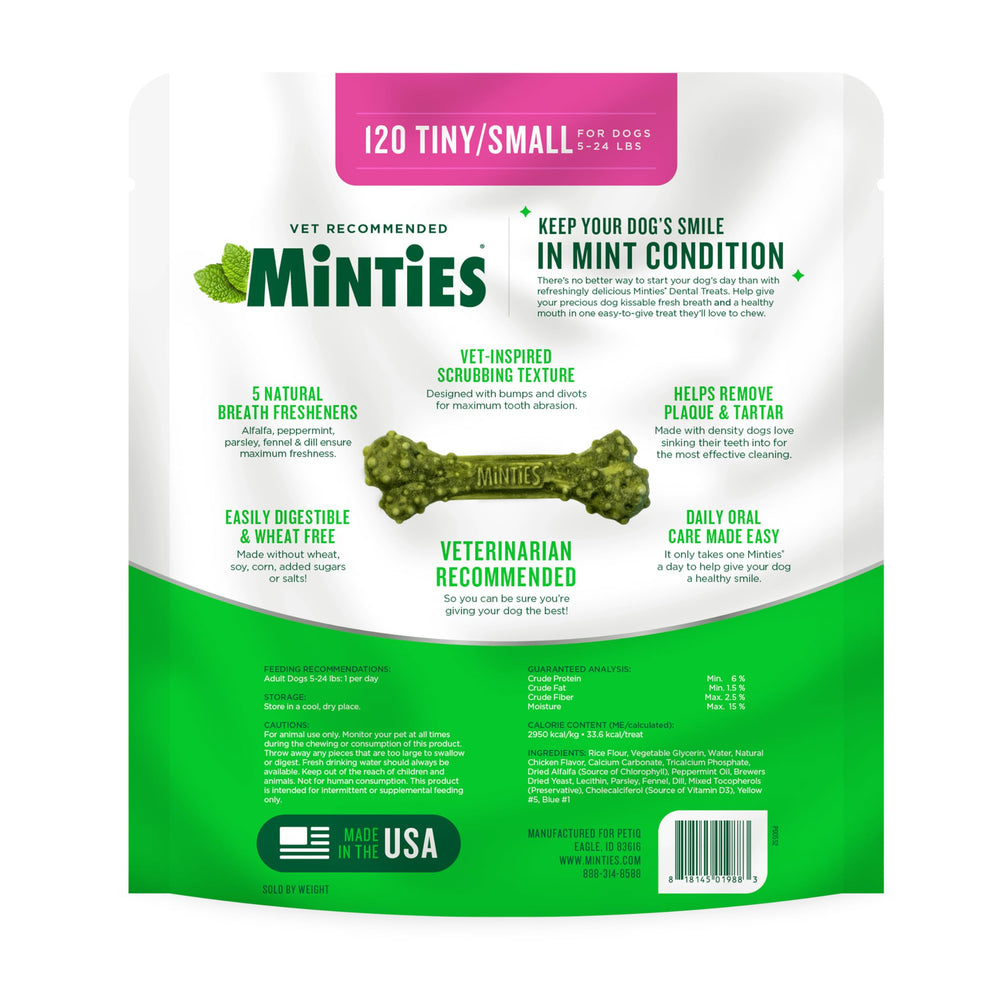 Owner giving Minties to small dog illustrating easy dental routine by Minties
