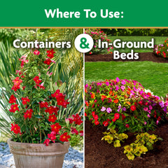Miracle-Gro applied through Garden Feeder demonstrating quick application benefit