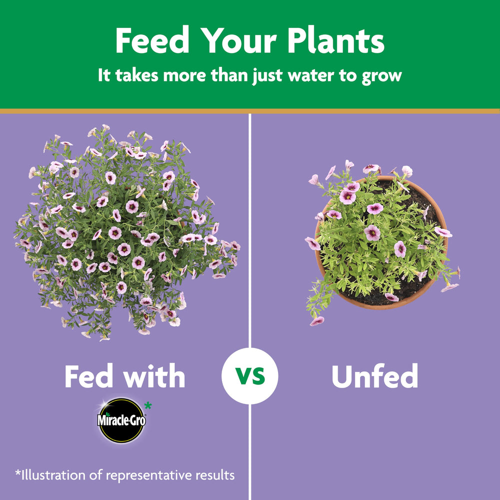 Miracle-Gro label close-up with directions highlighting clear usage benefit