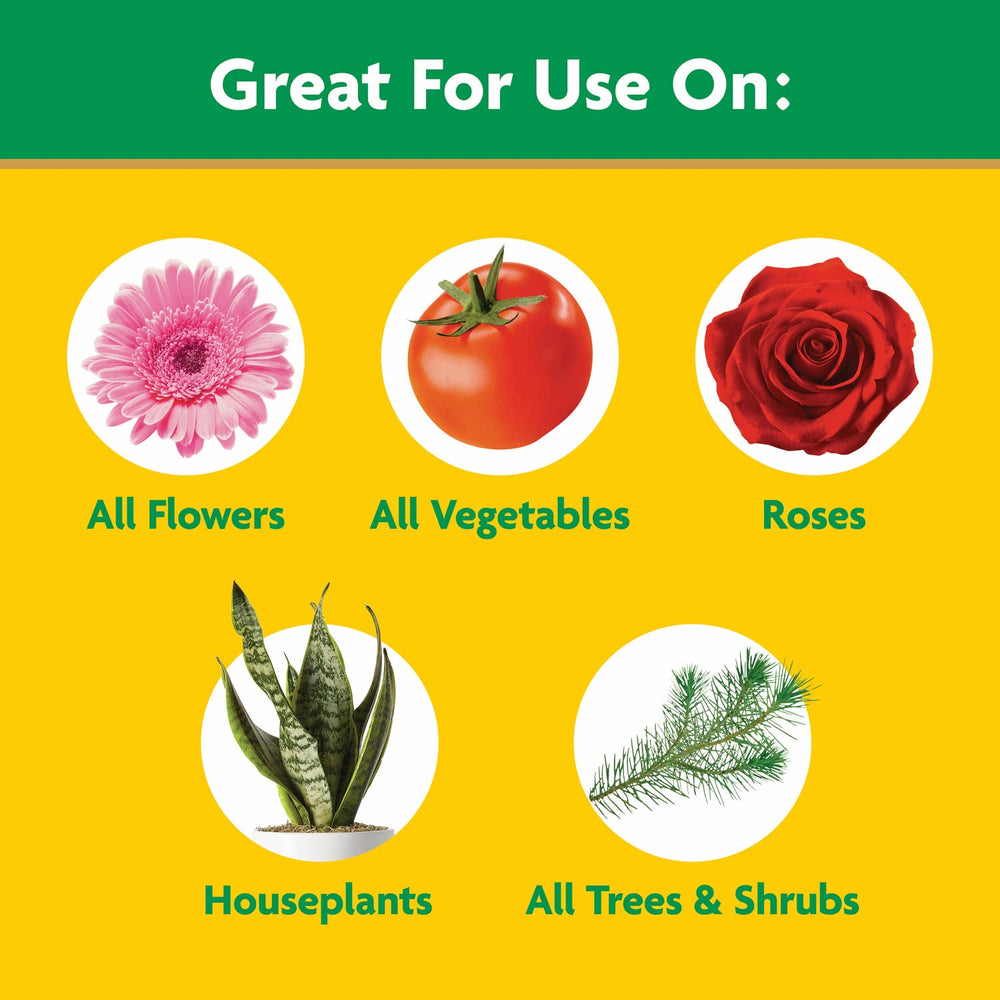 Miracle-Gro feeding potted plant use showing healthier foliage benefit