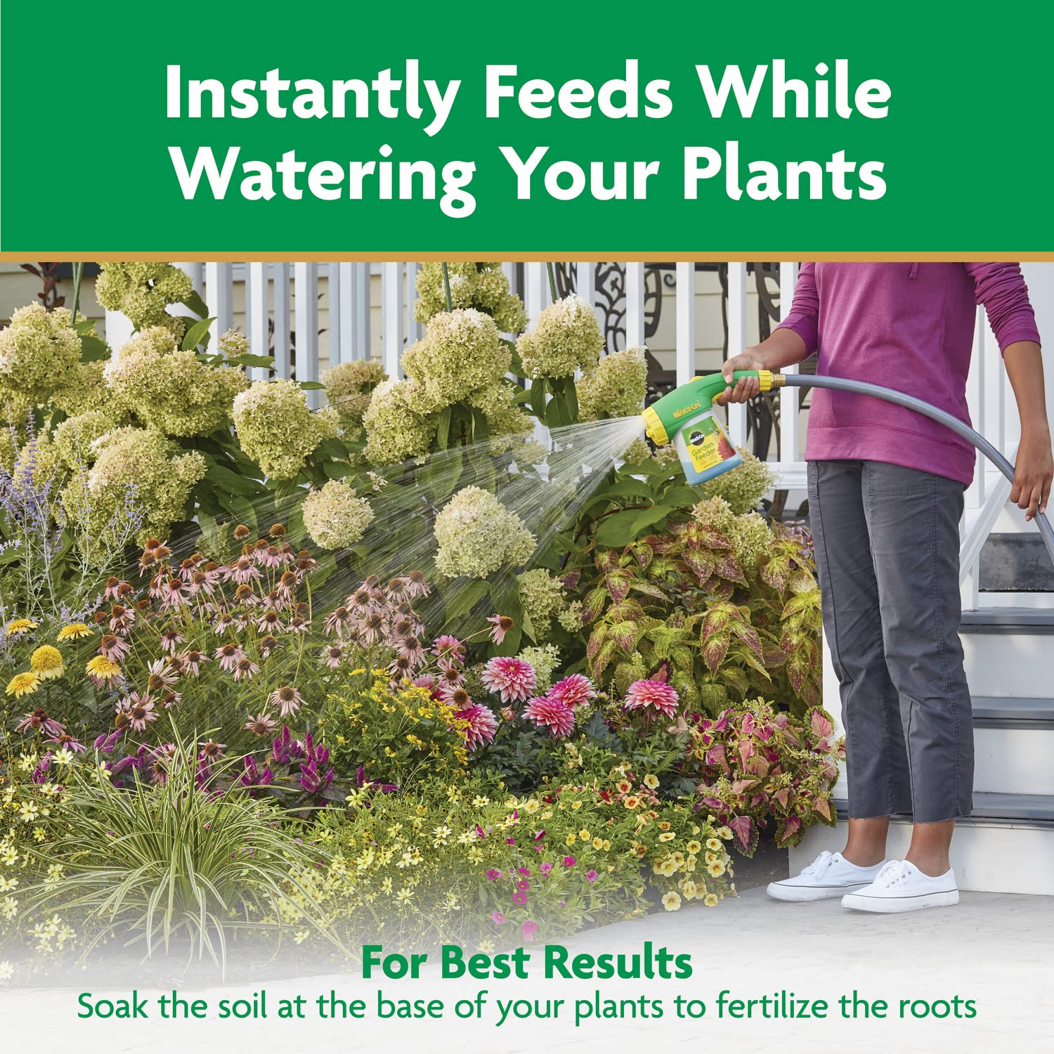 Miracle-Gro used in flower beds improving bloom size and color
