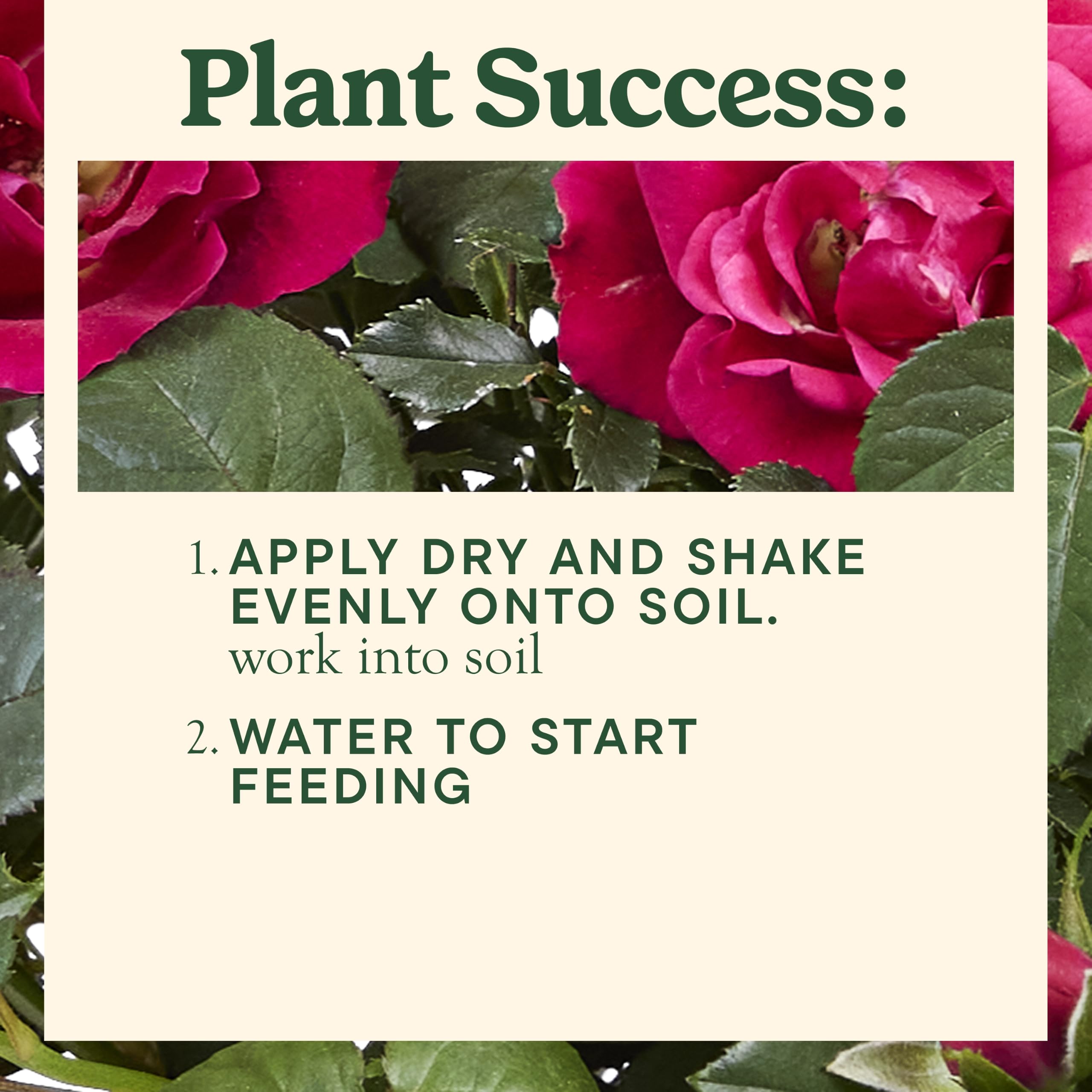 Miracle-Gro applied in a garden bed to boost in-ground roses
