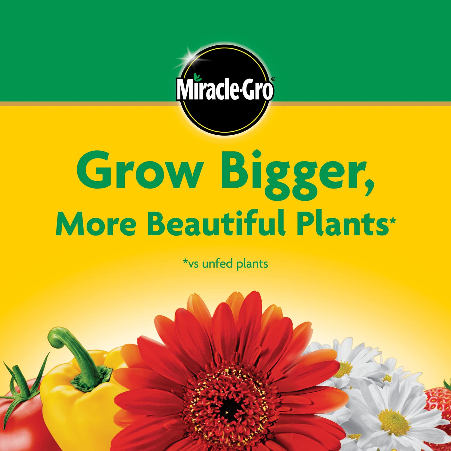 Miracle-Gro label and NPK 24-8-16 highlighting balanced nutrients benefit