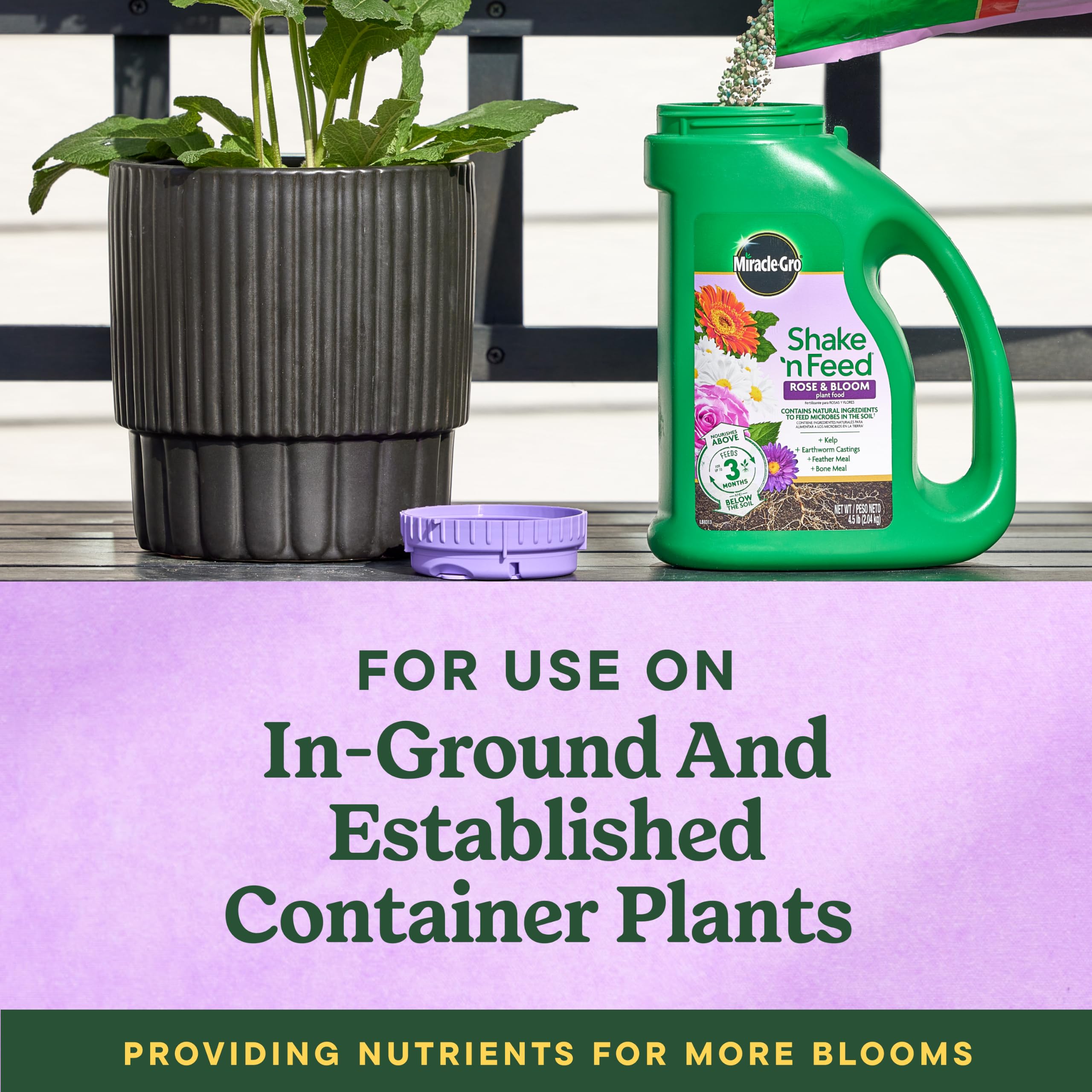 Miracle-Gro bag held in hand to show 4.5 lb size and portability