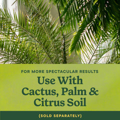 Miracle-Gro used on a potted palm to show container plant nutrition benefit