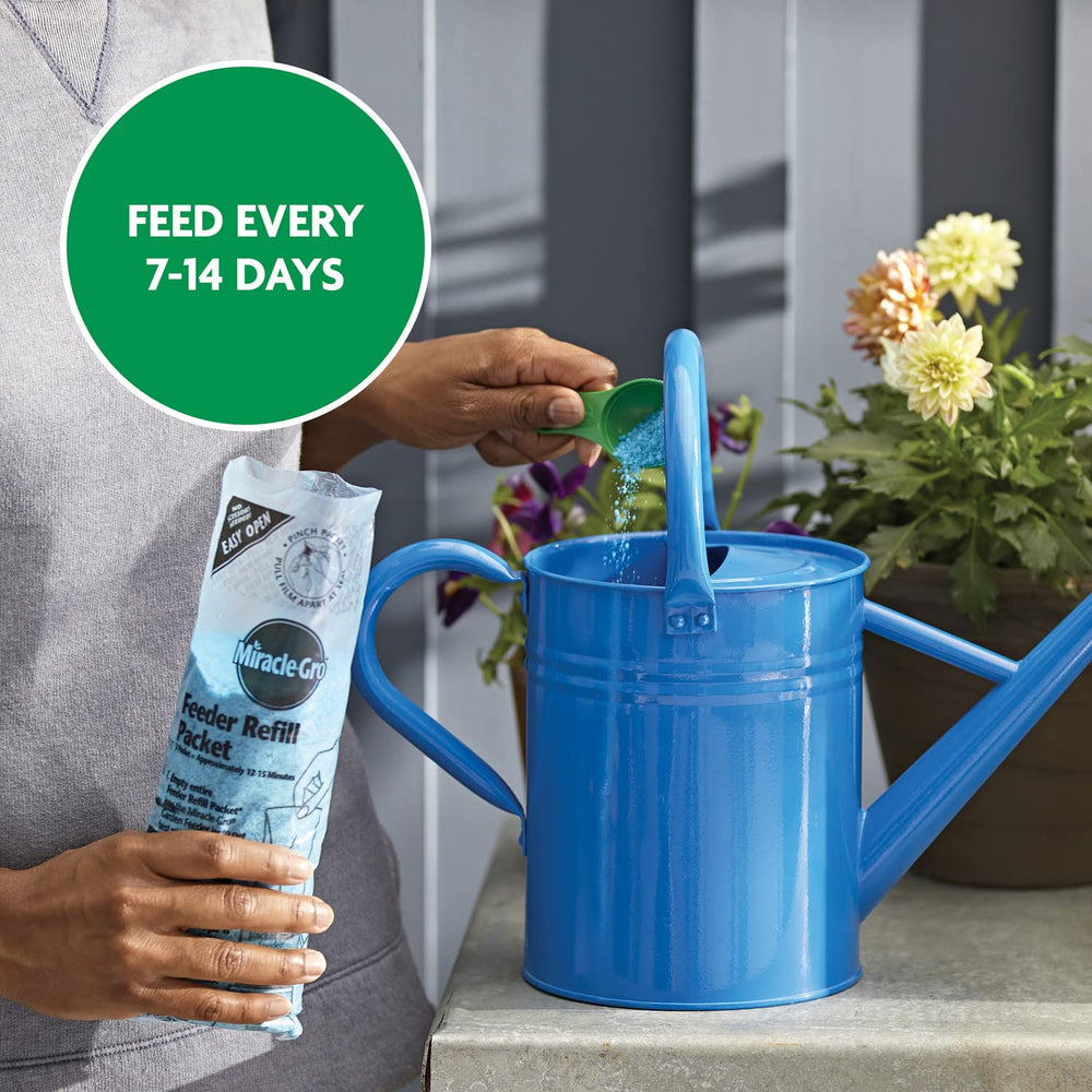 Miracle-Gro applied to a vegetable garden boosting productive growth