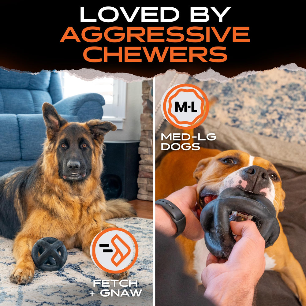 Monster K9 ring ball in dishwasher rack showing easy-clean, hygienic benefit