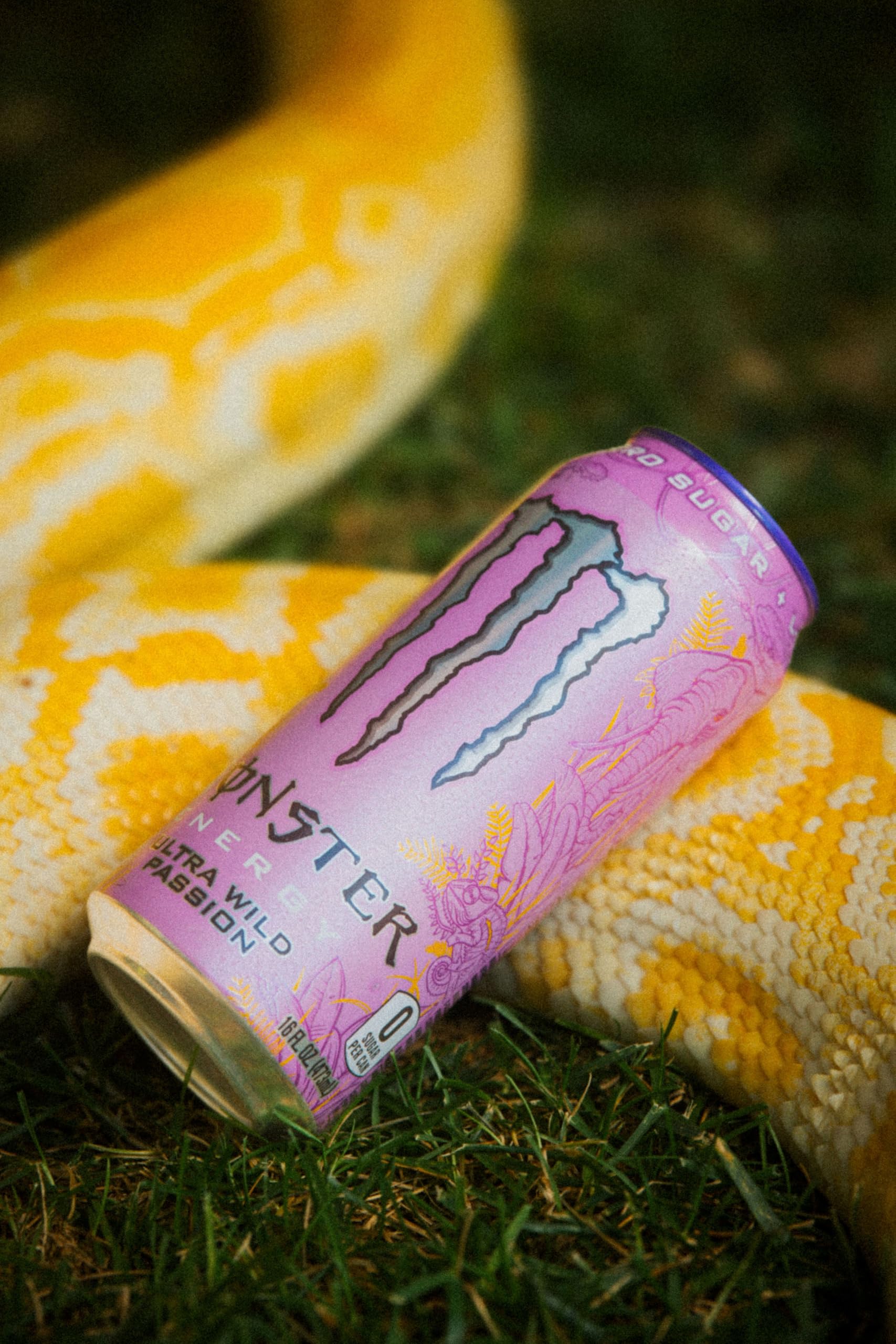 Monster Ultra Wild Passion can outdoors in nature showcasing energizing benefit
