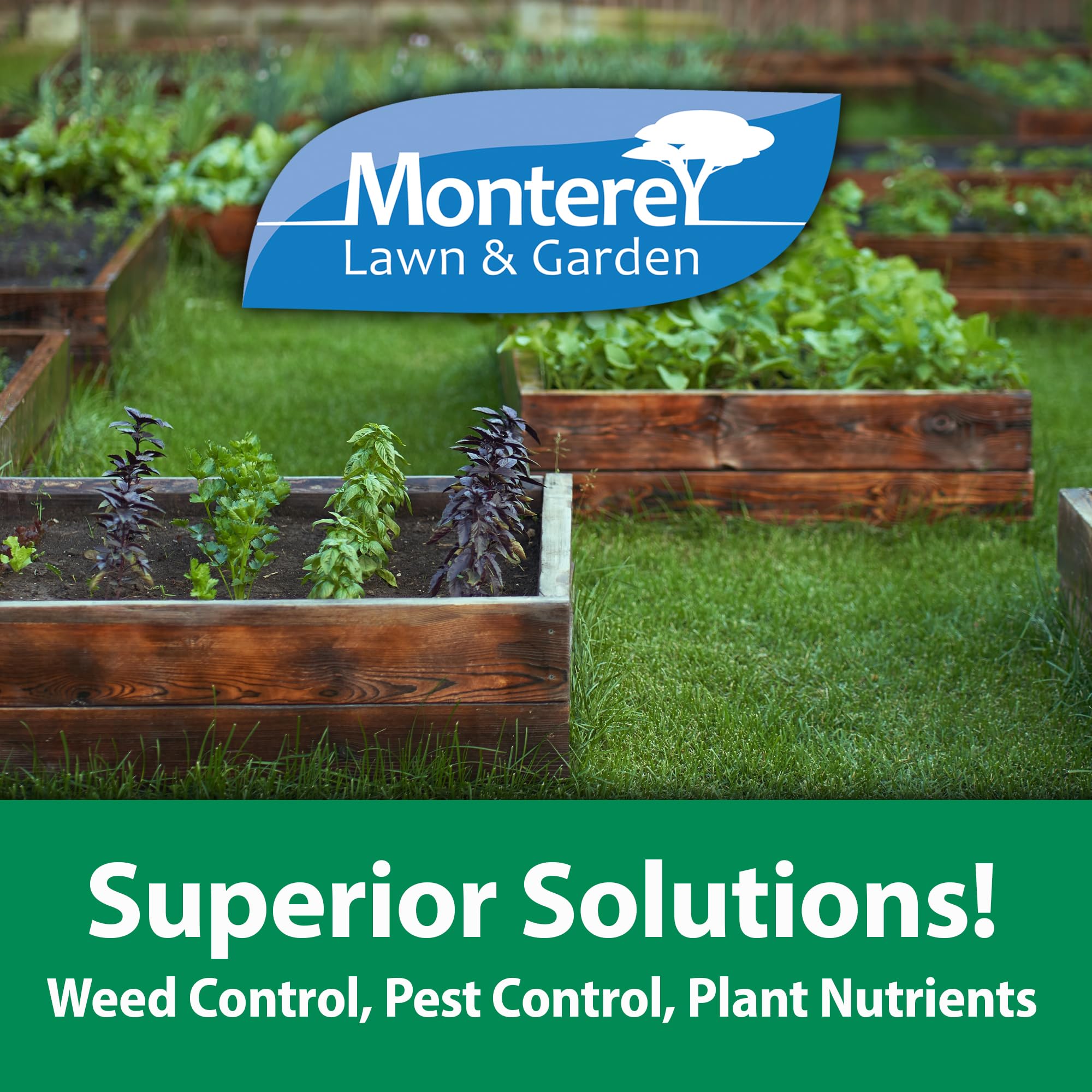 Monterey applied to an ornamental tree minimizing caterpillar damage benefit