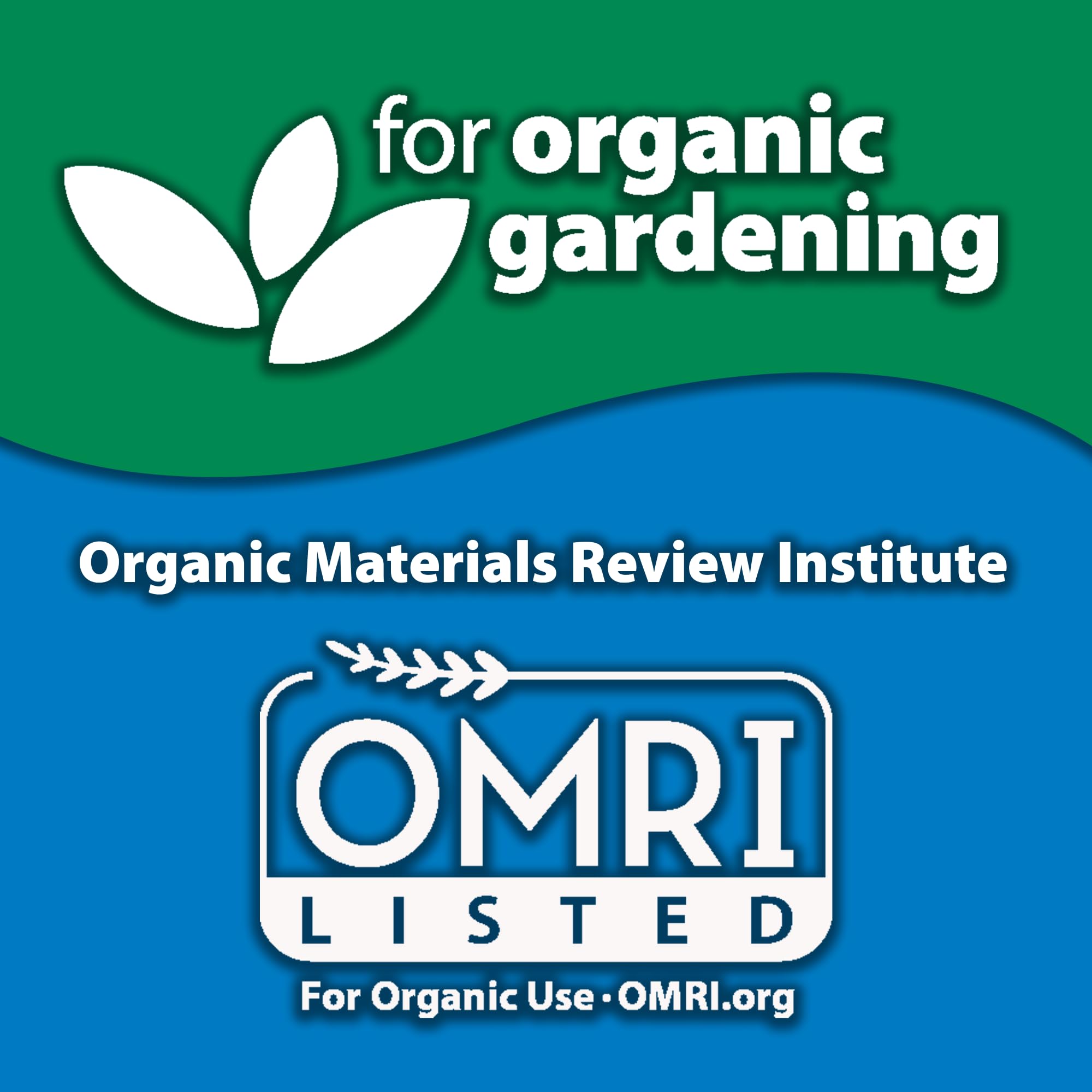 Monterey used in a vegetable garden protecting brassicas and tomatoes benefit