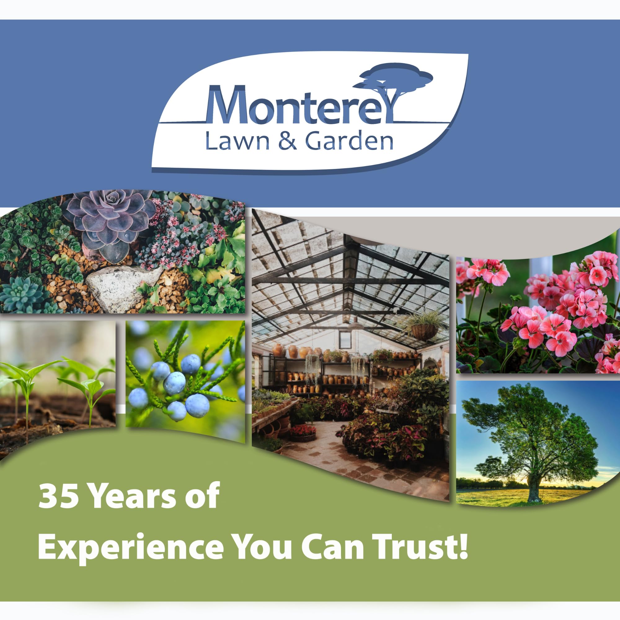 Monterey treated bed before and after images highlighting reduced slug damage