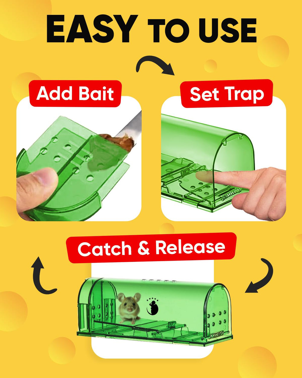 Motel Mouse in-use kitchen setting protecting family and pets