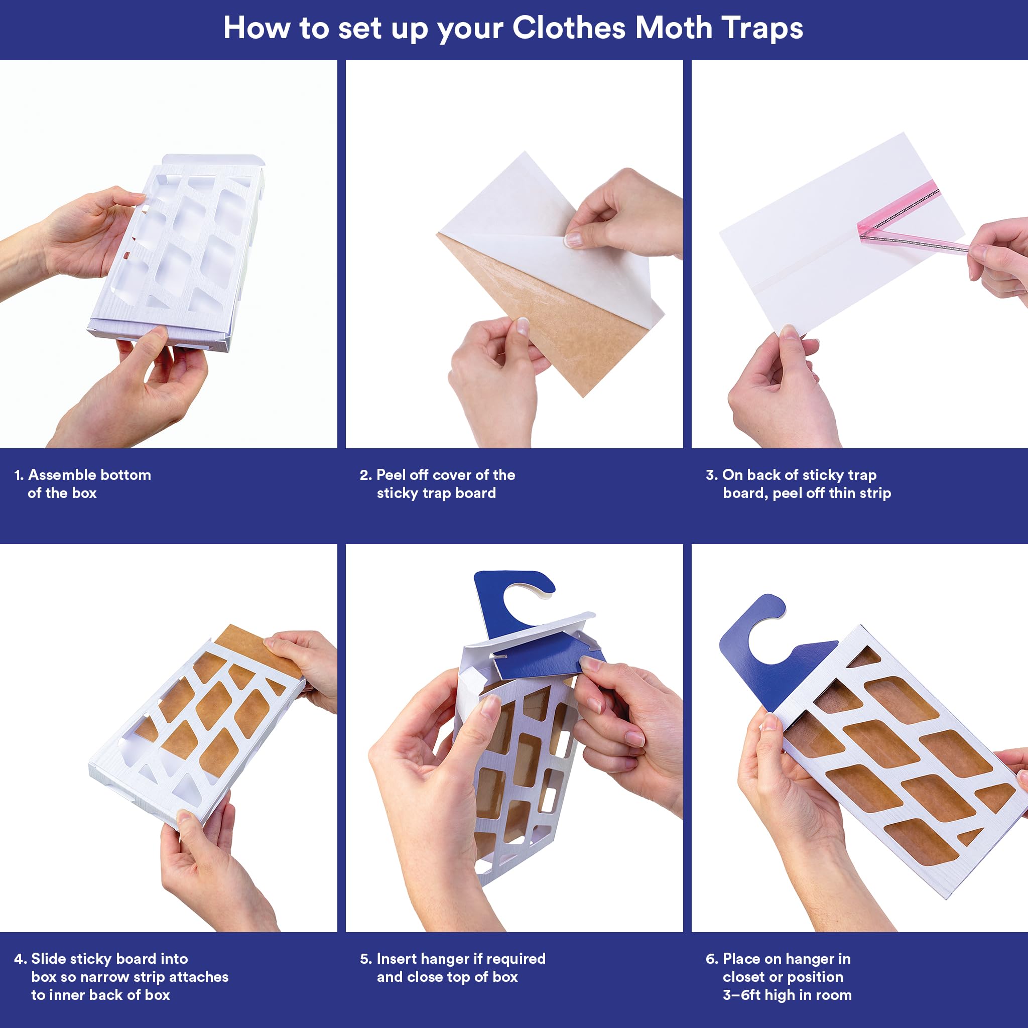 MothPrevention trap with captured moths demonstrating effective control
