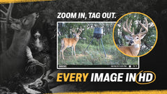 Night photo taken by Moultrie EDGE 3 showing clear infrared image without spooking deer