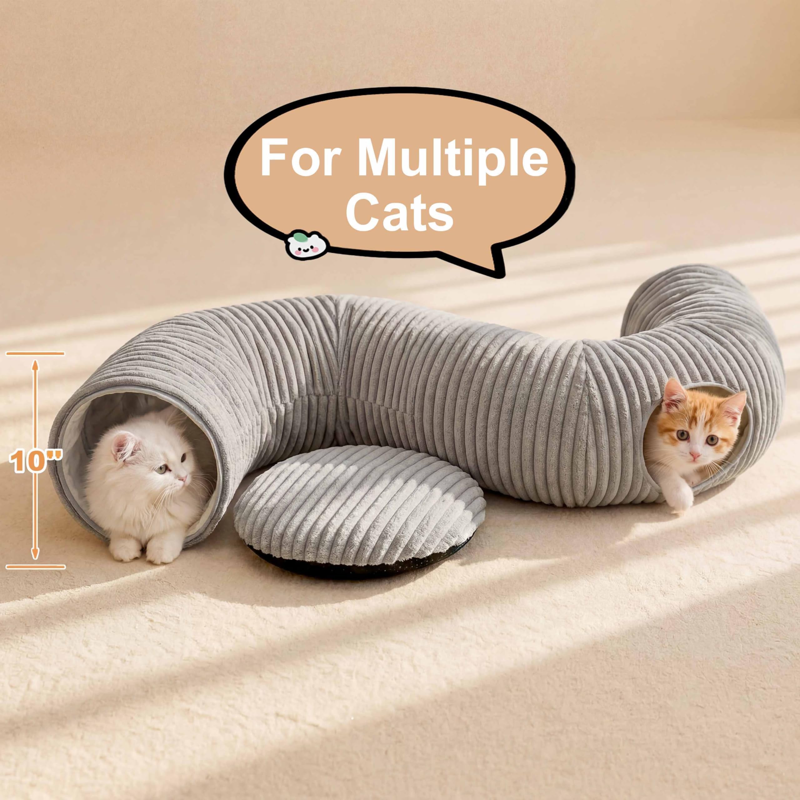 MOYMO cat playing inside tunnel, demonstrates active and engaged behavior