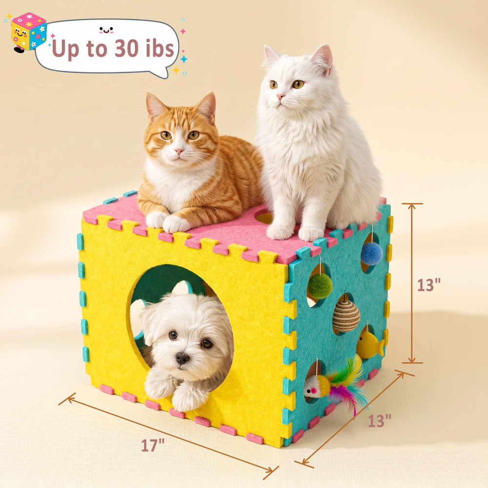 MOYMO size comparison with adult cat highlighting spacious interior benefit