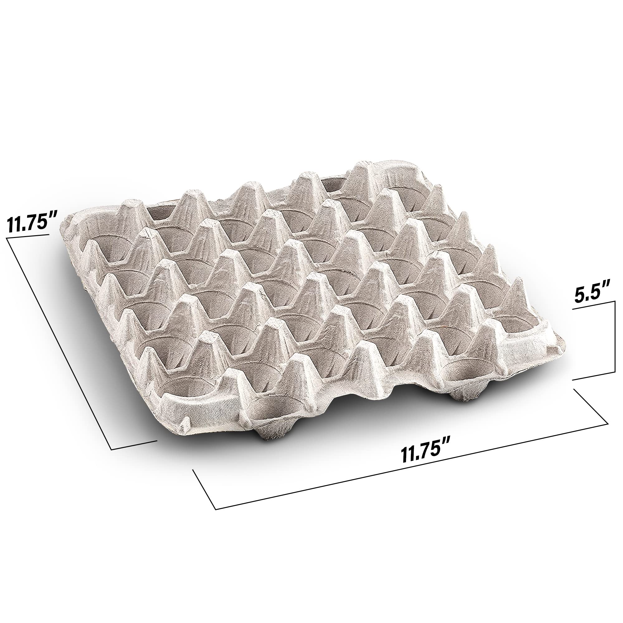 MT Products close-up of pulp fiber cell texture showing sturdy protective benefit
