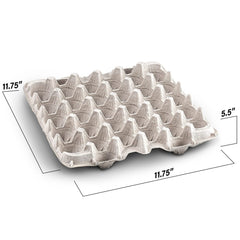 MT Products close-up of pulp fiber cell texture showing sturdy protective benefit