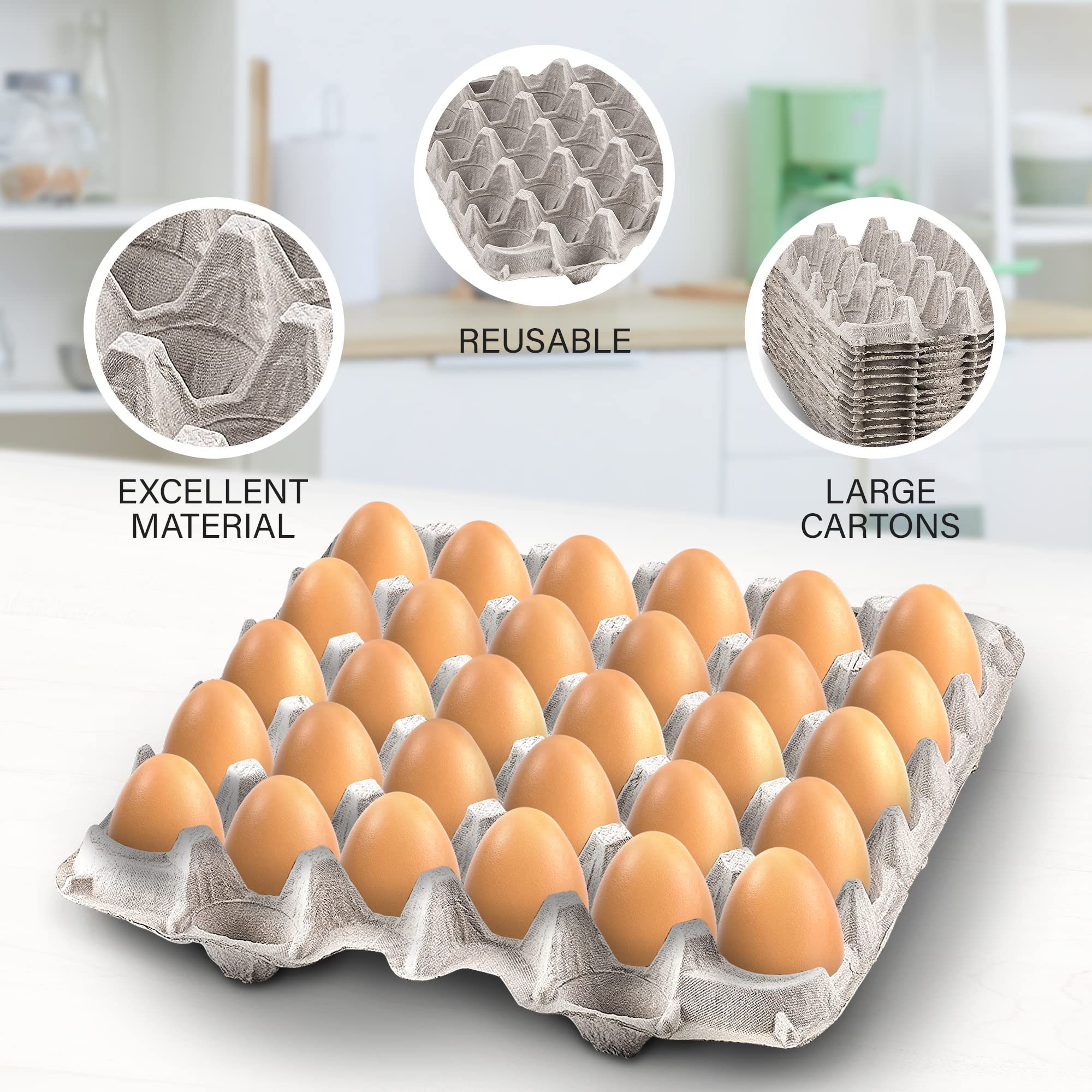 MT Products tray broken into compostable pieces showing eco-friendly disposal benefit