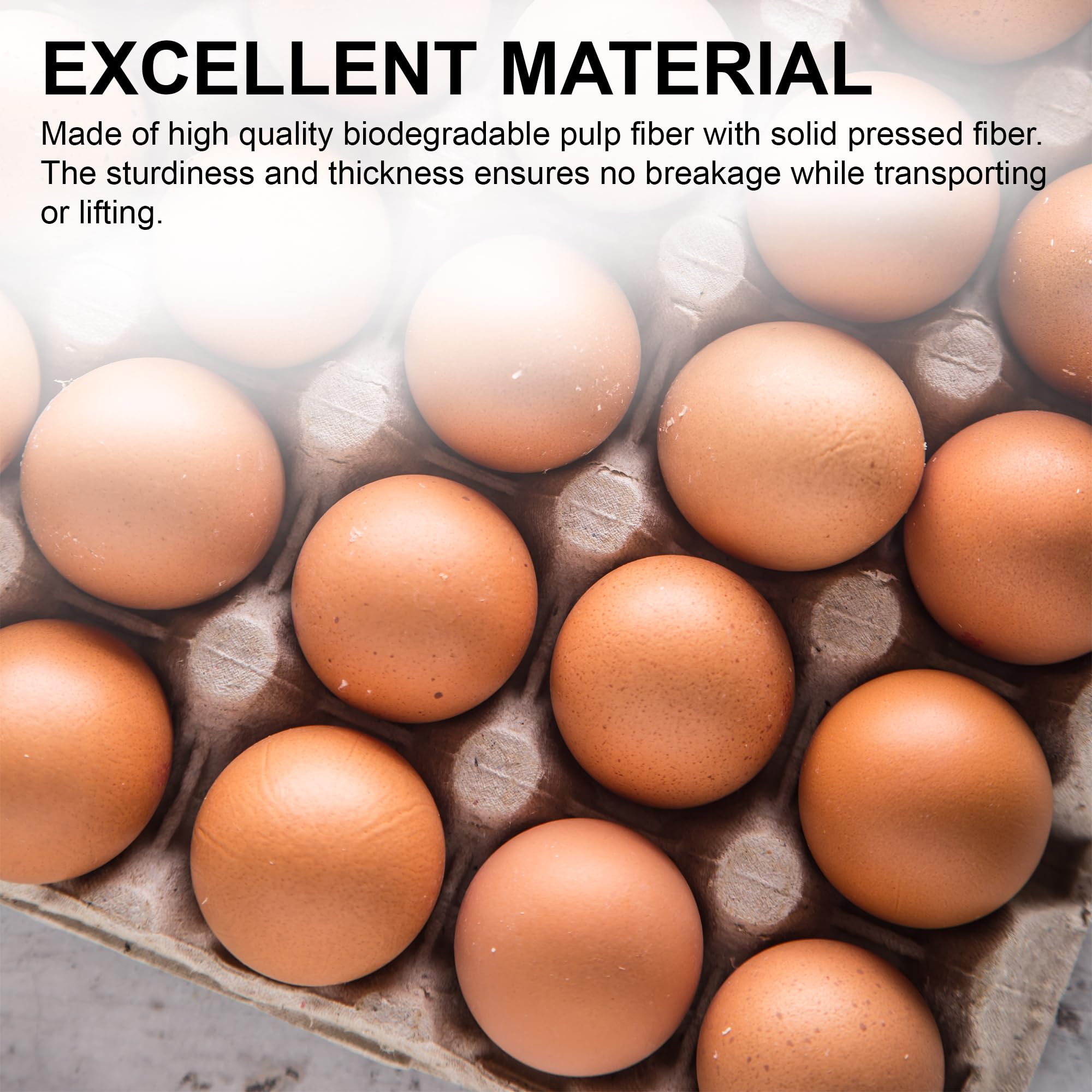 MT Products tray holding chicken eggs showing safe egg transport benefit