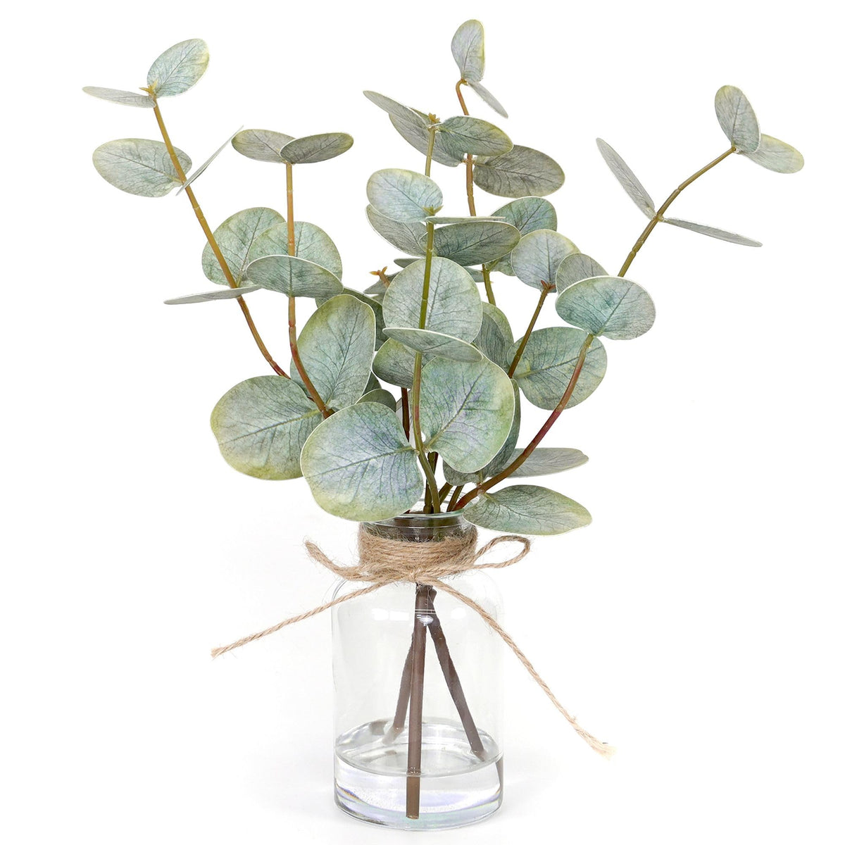 Muhanjia front view of eucalyptus stems in glass vase showing elegant centerpiece benefit