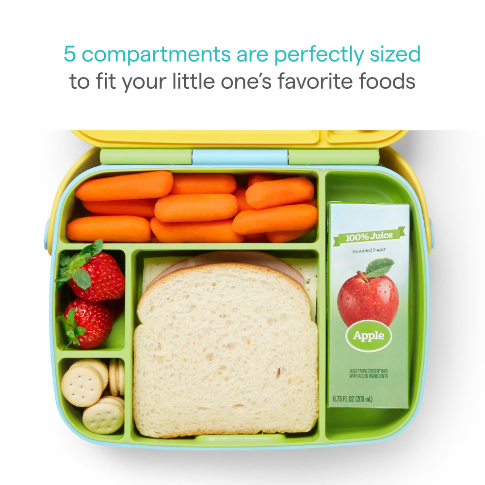 Munchkin open top-down view showing five compartments for separate foods