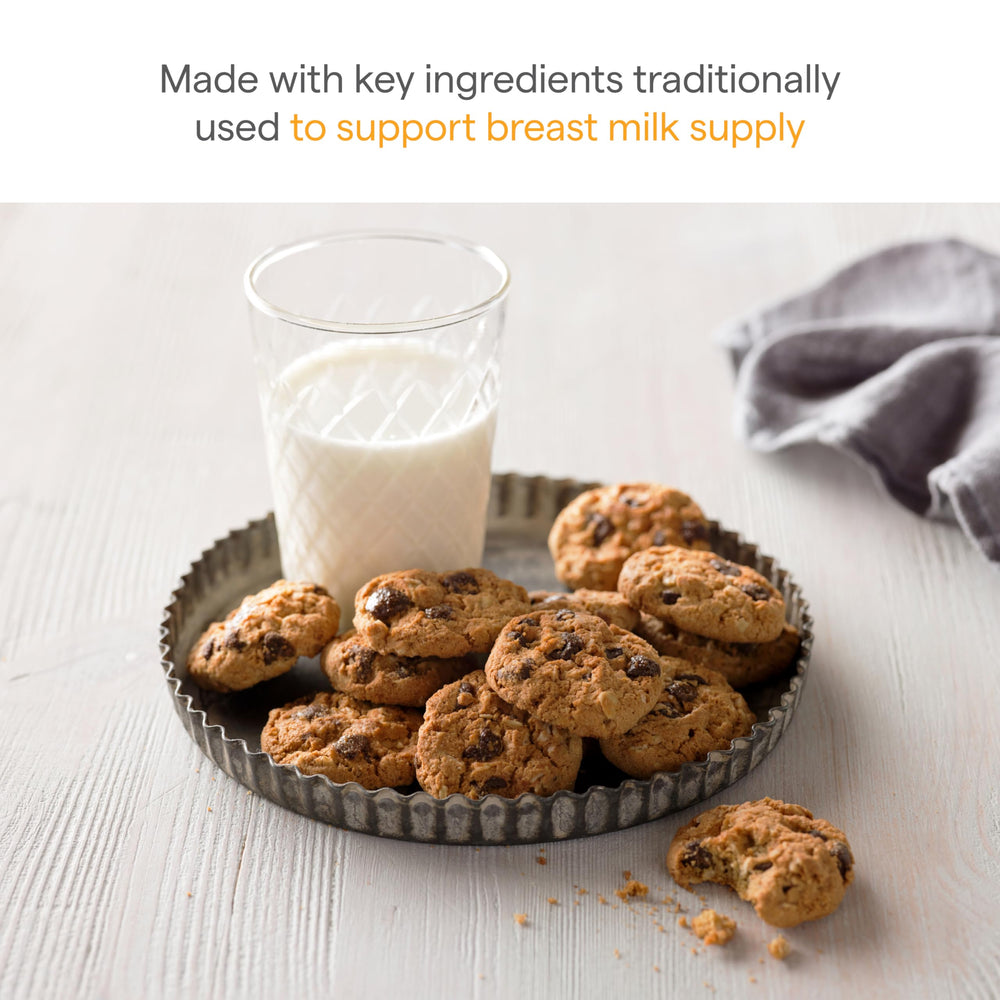Munchkin Milkmakers cookie close-up showing oat texture and chips for enjoyment