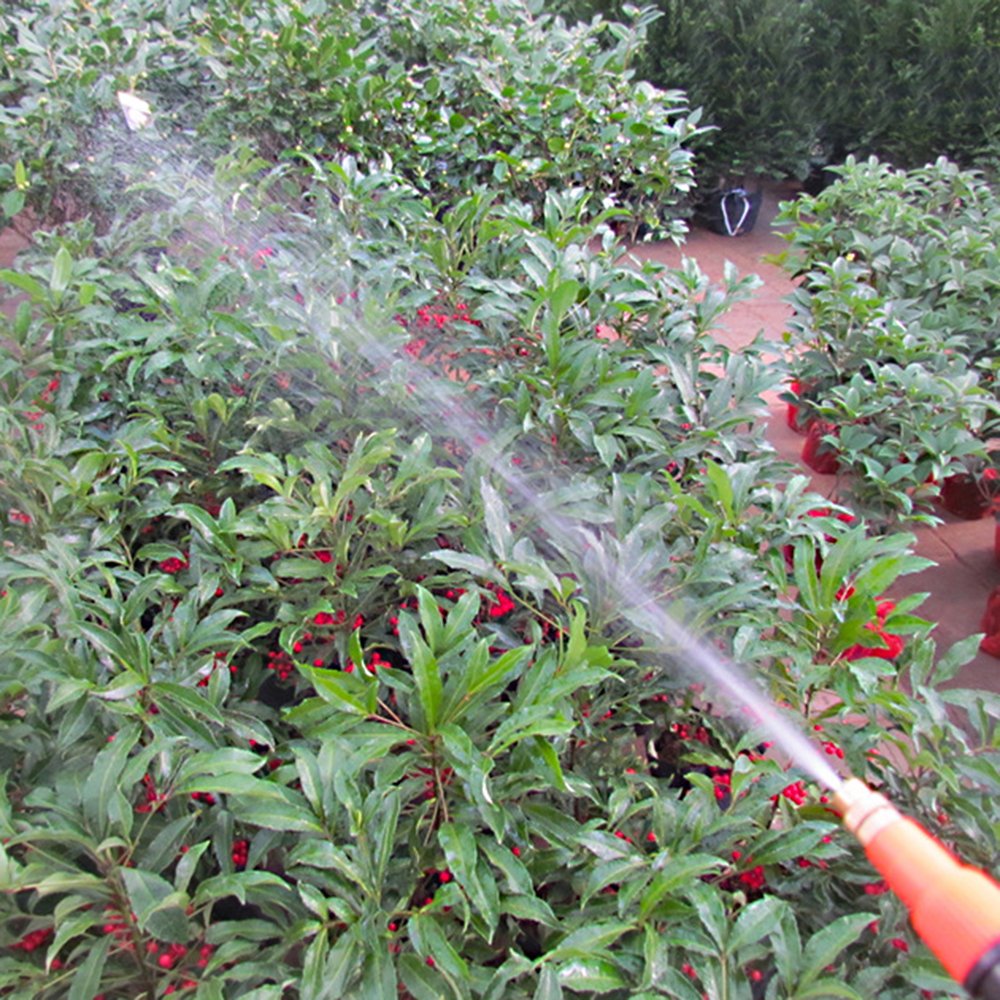 MyLifeUNIT sprayer being used on potted plants demonstrating targeted misting benefit