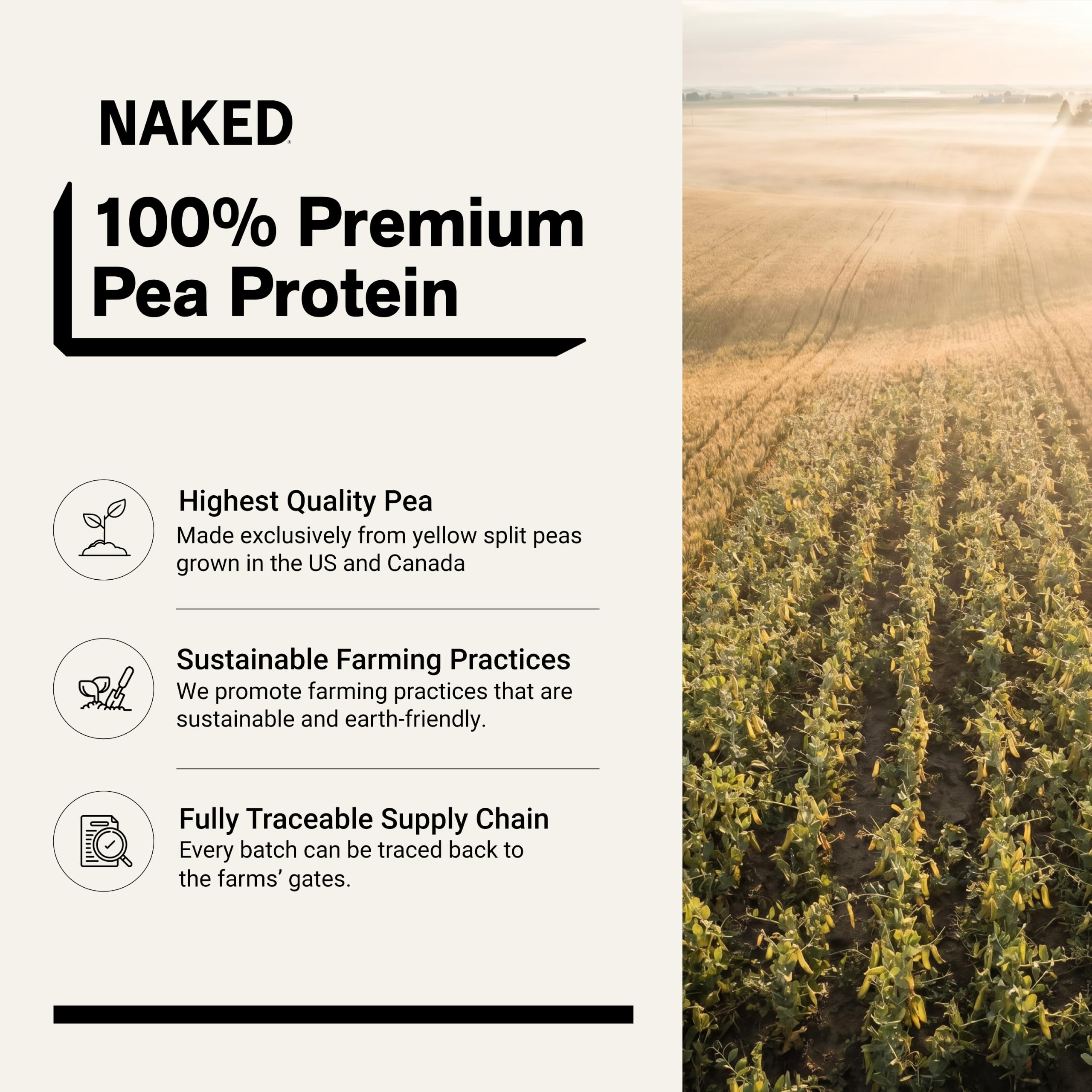 NAKED powder close-up texture highlighting fine pea protein and mixability