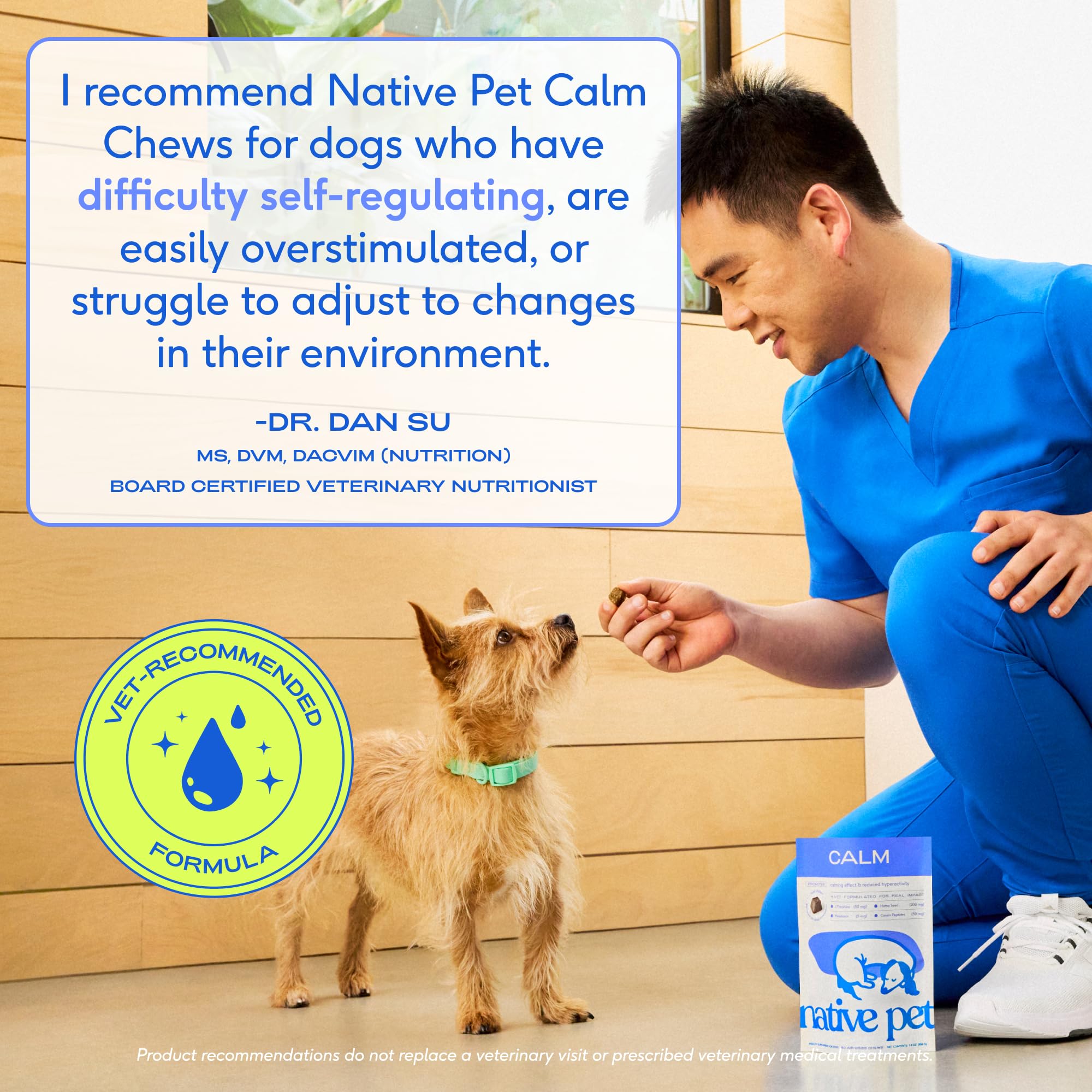 Native Pet dog taking a chew in a car demonstrating calmer travel behavior