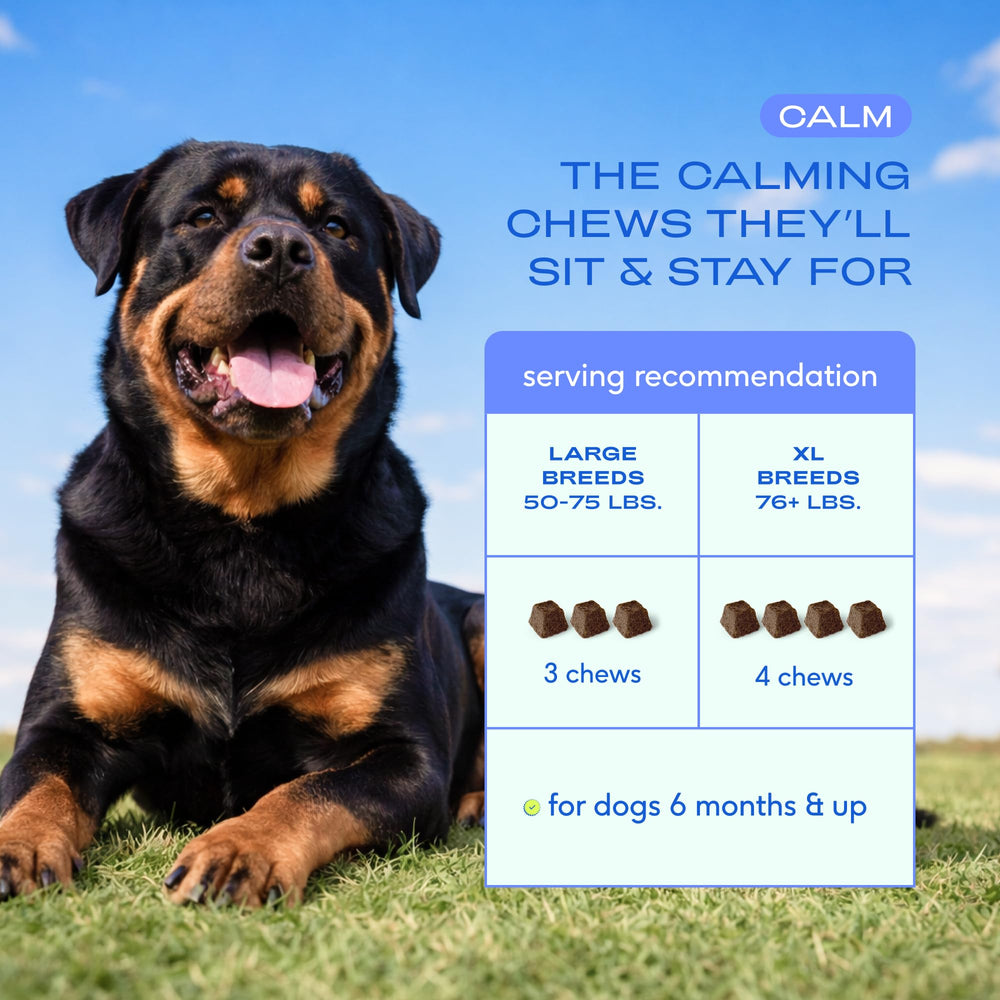 Native Pet chew given before storm to show calmer response during loud events