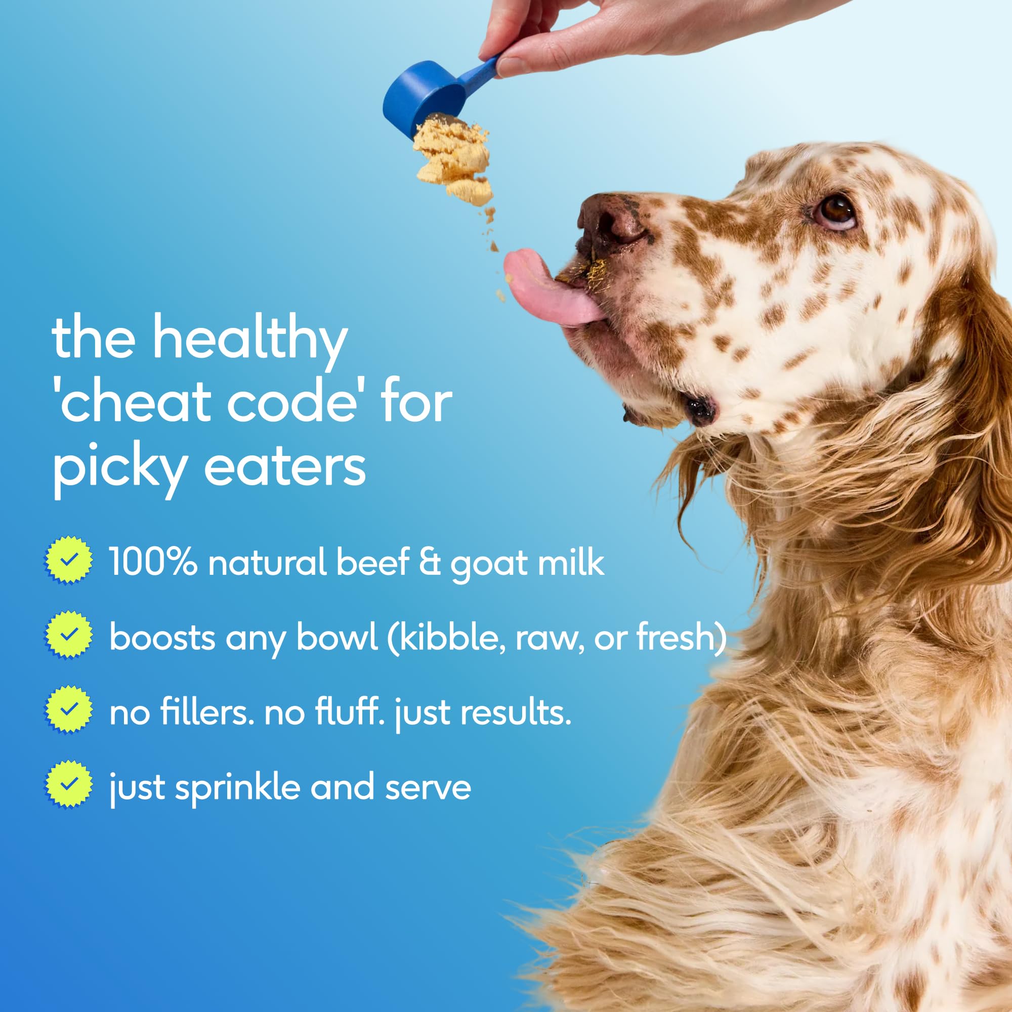 Native Pet active dog outdoors supported by daily supplementation