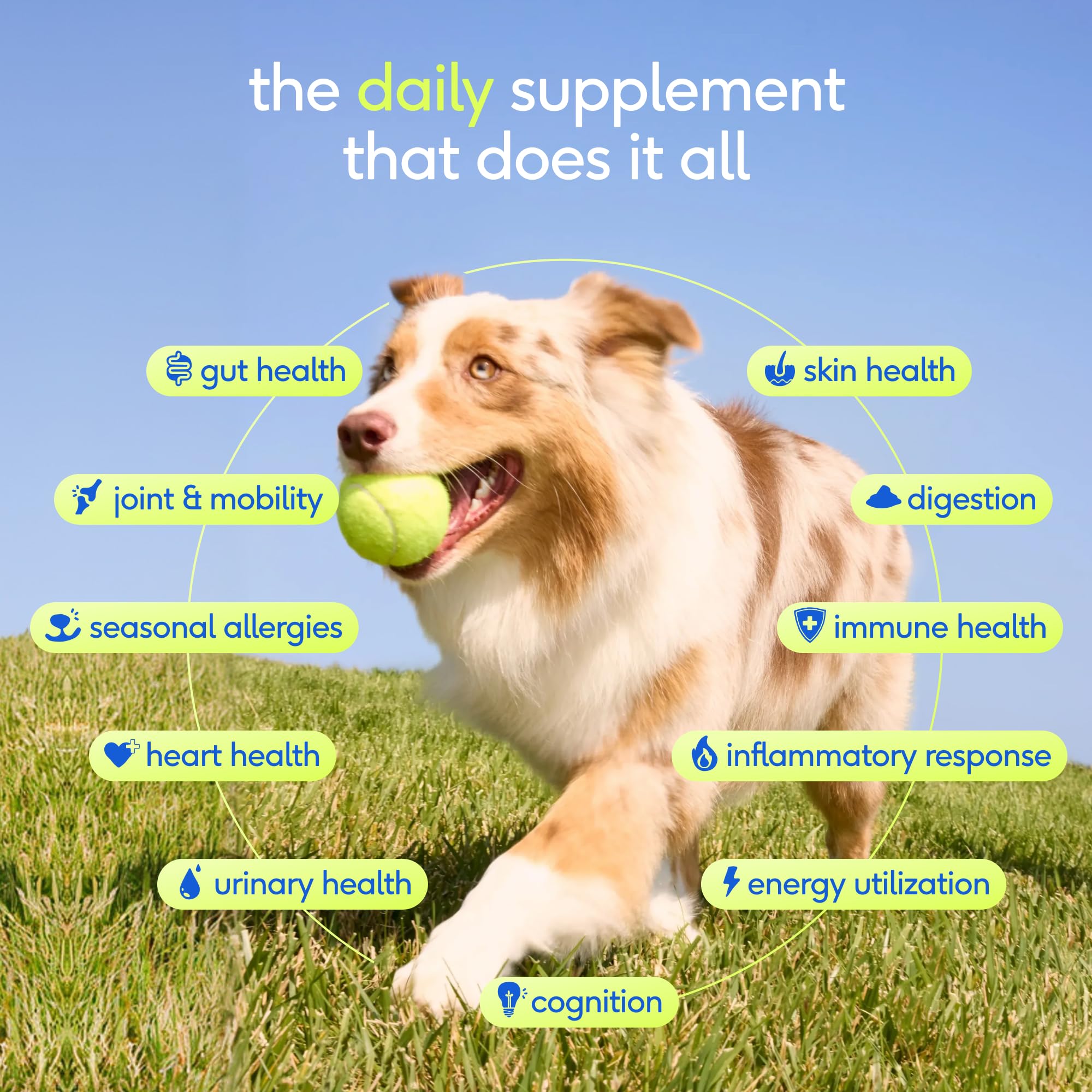 Native Pet open jar with scoop visible for easy daily serving