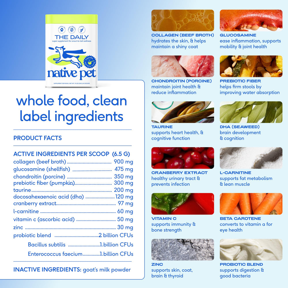 Native Pet powder close-up texture highlighting clean ingredients